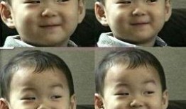 娱乐圈2016年吃瓜,瓜田李下，明星们的甜蜜与苦涩